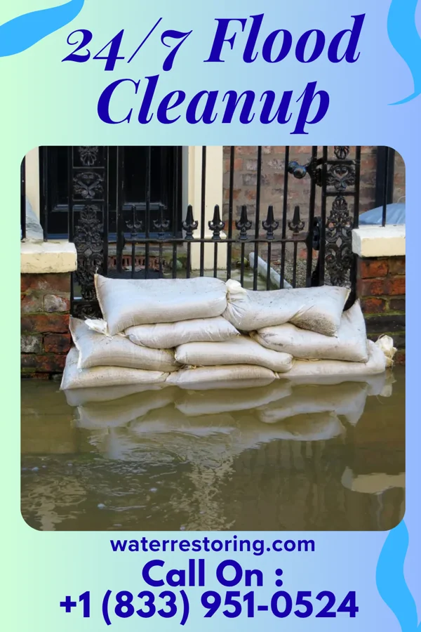 24/7 Flood Cleanup in Petoskey, MI