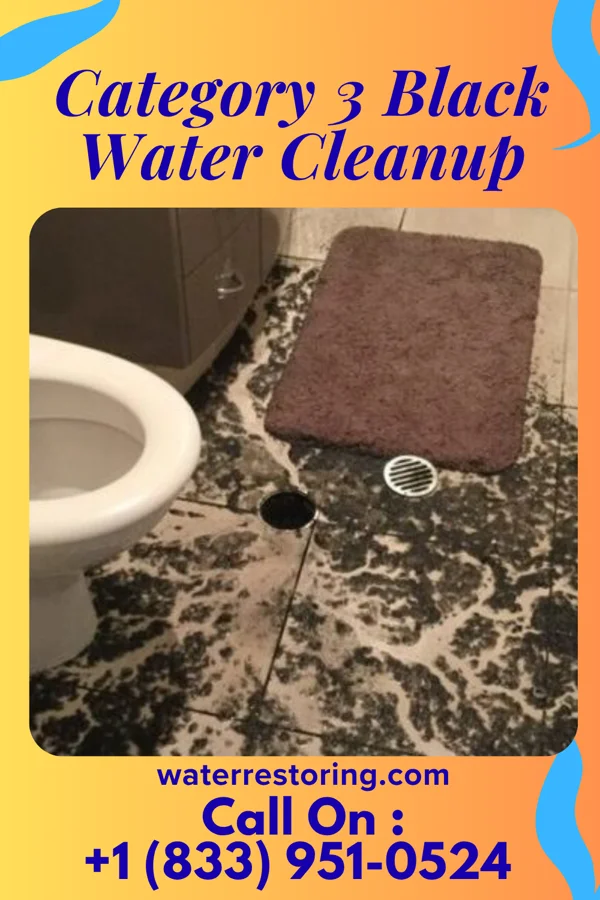 Category 3 Black Water Cleanup in Petoskey, MI
