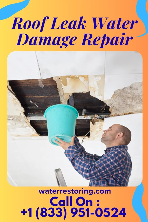 Roof Leak Water Damage Repair in Petoskey, MI