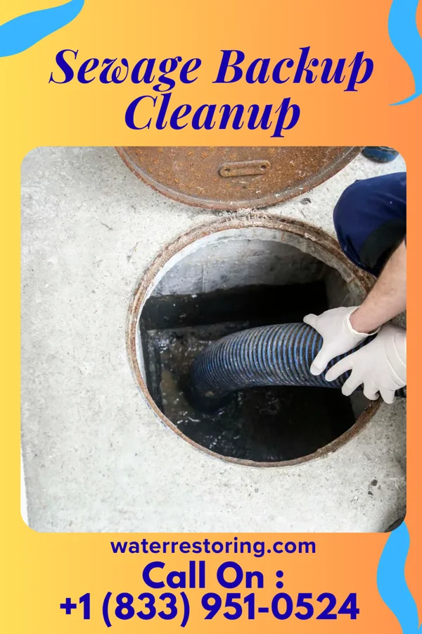 Sewage Backup Cleanup in Petoskey, MI