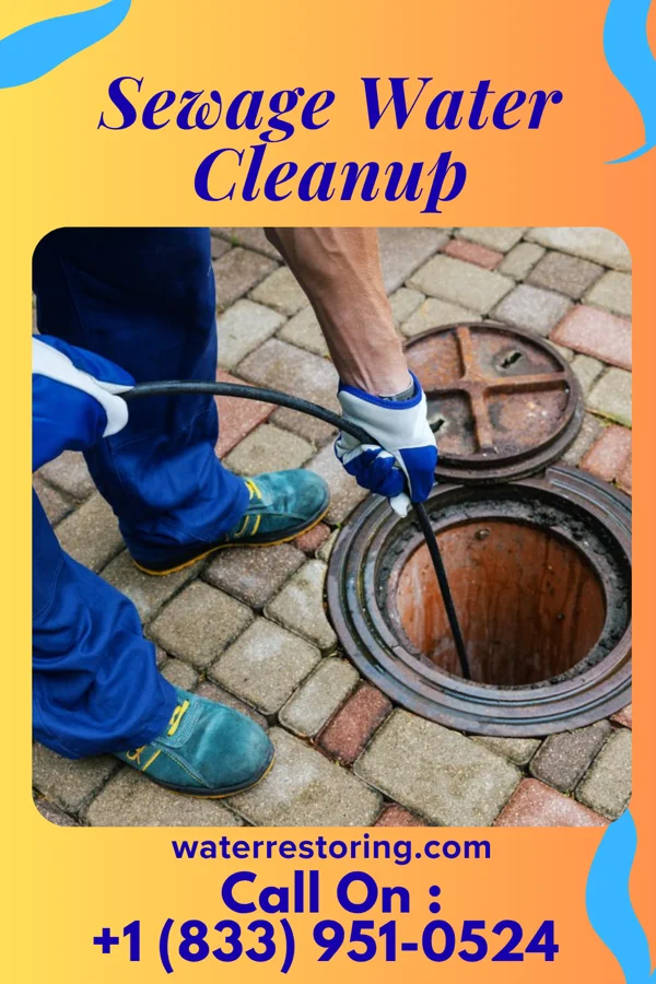 Sewage Water Cleanup in Petoskey, MI